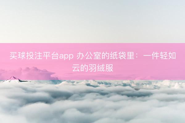 买球投注平台app 办公室的纸袋里：一件轻如云的羽绒服