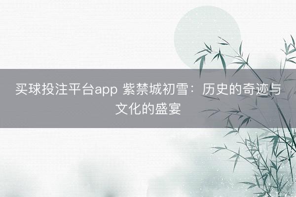 买球投注平台app 紫禁城初雪：历史的奇迹与文化的盛宴