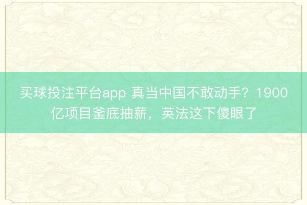 买球投注平台app 真当中国不敢动手?1900亿项目釜底抽薪,英法这下傻眼了