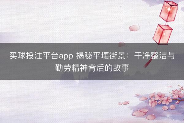 买球投注平台app 揭秘平壤街景：干净整洁与勤劳精神背后的故事