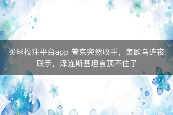 买球投注平台app 普京突然收手，美欧乌连夜联手，泽连斯基坦言顶不住了