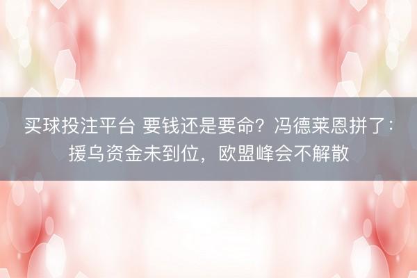 买球投注平台 要钱还是要命？冯德莱恩拼了：援乌资金未到位，欧盟峰会不解散