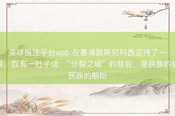 买球投注平台app 在塞浦路斯尼科西亚待了一个月，我有一肚子话：“分裂之城” 的背后，是民族的期盼
