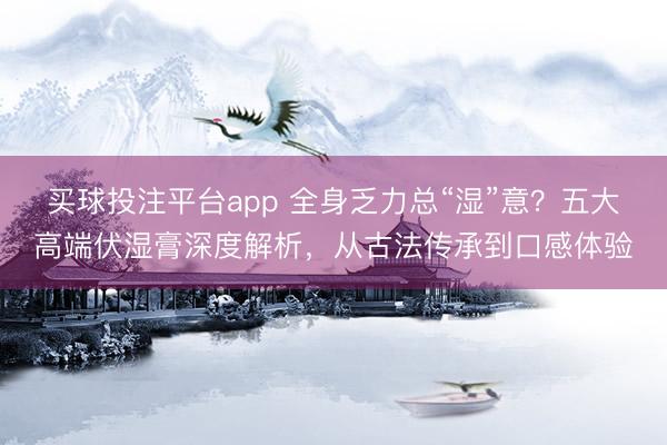 买球投注平台app 全身乏力总“湿”意?五大高端伏湿膏深度解析,从古法传承到口感体验