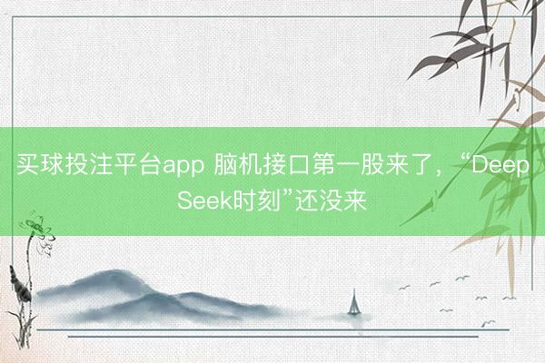 买球投注平台app 脑机接口第一股来了，“DeepSeek时刻”还没来