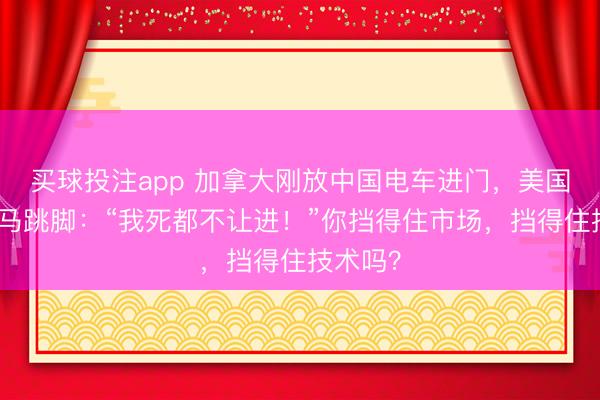 买球投注app 加拿大刚放中国电车进门,美国议员立马跳脚:“我死都不让进!”你挡得住市场,挡得住技术吗?