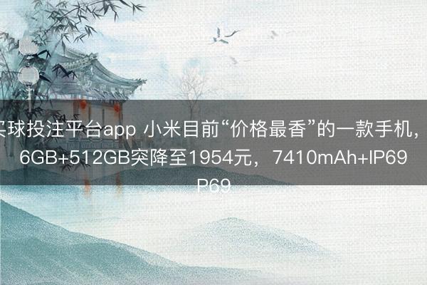 买球投注平台app 小米目前“价格最香”的一款手机，16GB+512GB突降至1954元，7410mAh+IP69