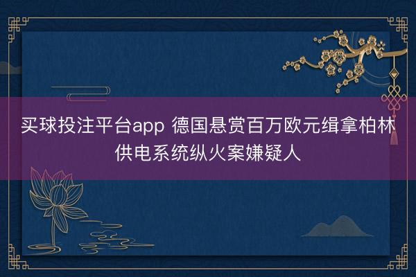 买球投注平台app 德国悬赏百万欧元缉拿柏林供电系统纵火案嫌疑人