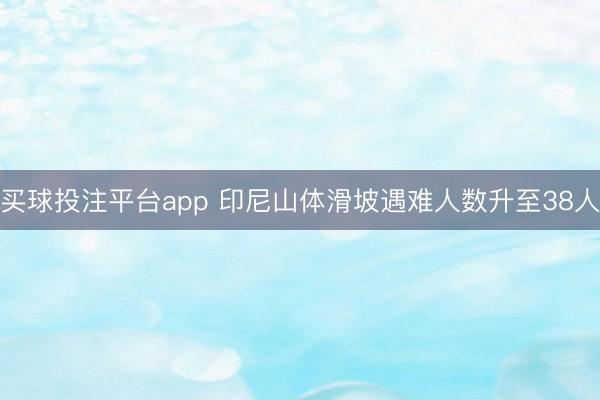 买球投注平台app 印尼山体滑坡遇难人数升至38人