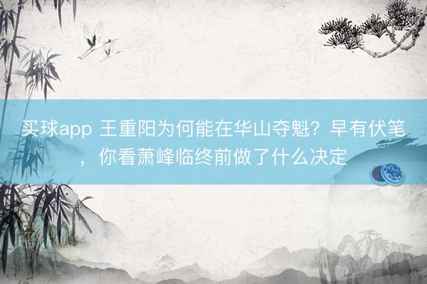 买球app 王重阳为何能在华山夺魁?早有伏笔,你看萧峰临终前做了什么决定