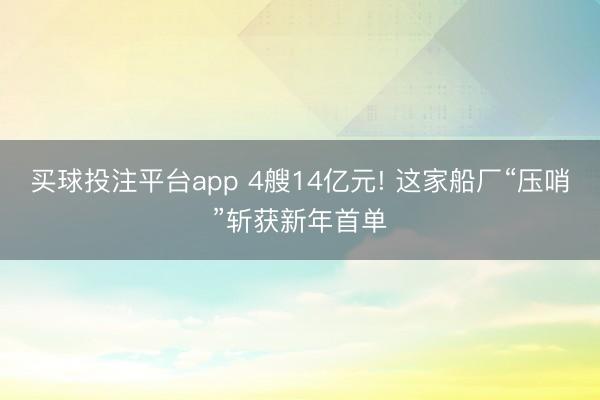 买球投注平台app 4艘14亿元! 这家船厂“压哨”斩获新年首单