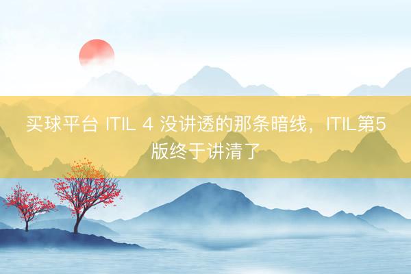 买球平台 ITIL 4 没讲透的那条暗线，ITIL第5版终于讲清了