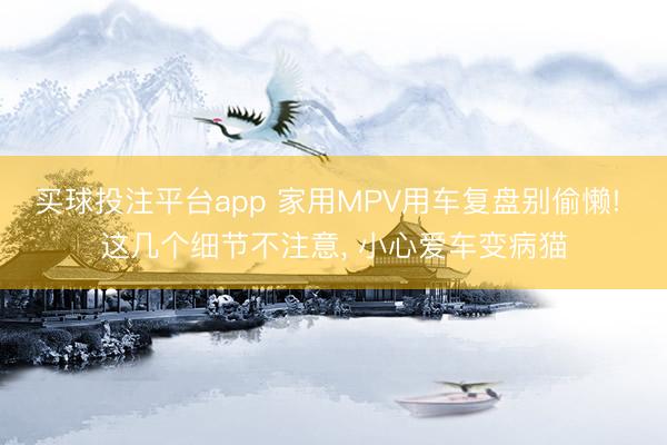 买球投注平台app 家用MPV用车复盘别偷懒! 这几个细节不注意， 小心爱车变病猫