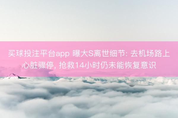 买球投注平台app 曝大S离世细节: 去机场路上心脏骤停， 抢救14小时仍未能恢复意识