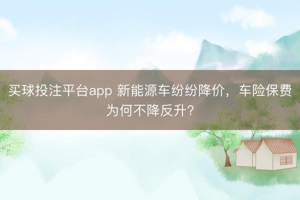 买球投注平台app 新能源车纷纷降价,车险保费为何不降反升?