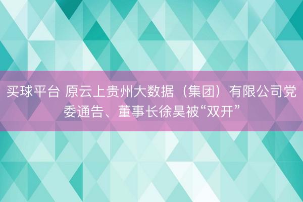 买球平台 原云上贵州大数据(集团)有限公司党委通告、董事长徐昊被“双开”