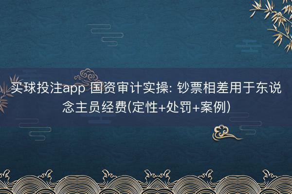 买球投注app 国资审计实操: 钞票相差用于东说念主员经费(定性+处罚+案例)