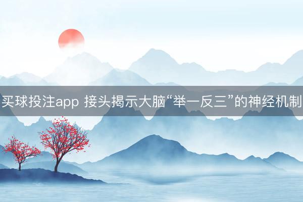 买球投注app 接头揭示大脑“举一反三”的神经机制