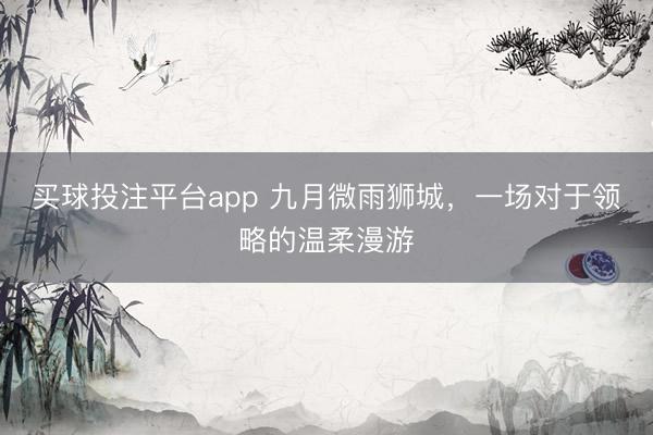 买球投注平台app 九月微雨狮城,一场对于领略的温柔漫游
