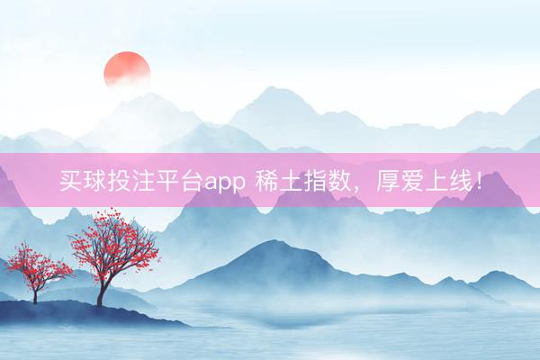 买球投注平台app 稀土指数，厚爱上线！