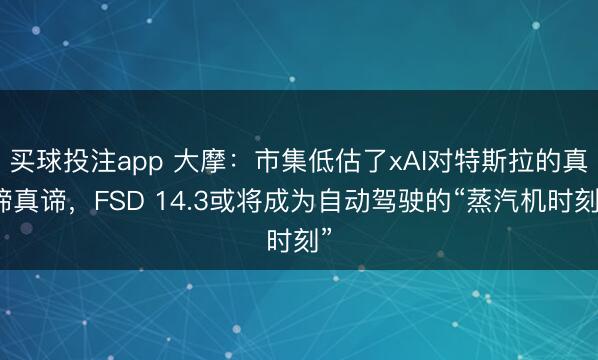 买球投注app 大摩:市集低估了xAI对特斯拉的真谛真谛,FSD 14.3或将成为自动驾驶的“蒸汽机时刻”