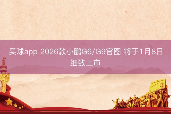 买球app 2026款小鹏G6/G9官图 将于1月8日细致上市