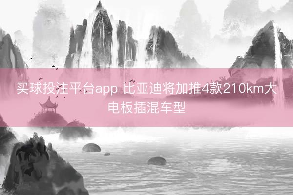 买球投注平台app 比亚迪将加推4款210km大电板插混车型
