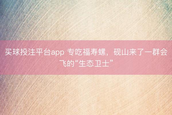 买球投注平台app 专吃福寿螺,砚山来了一群会飞的“生态卫士”