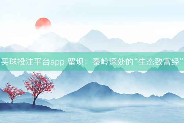 买球投注平台app 留坝：秦岭深处的“生态致富经”