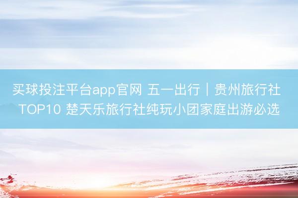 买球投注平台app官网 五一出行｜贵州旅行社 TOP10 楚天乐旅行社纯玩小团家庭出游必选