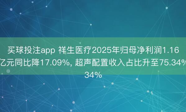 买球投注app 祥生医疗2025年归母净利润1.16亿元同比降17.09%， 超声配置收入占比升至75.34%