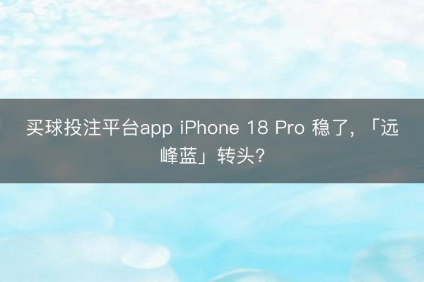 买球投注平台app iPhone 18 Pro 稳了， 「远峰蓝」转头?