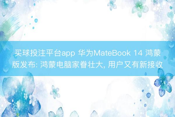 买球投注平台app 华为MateBook 14 鸿蒙版发布: 鸿蒙电脑家眷壮大， 用户又有新接收