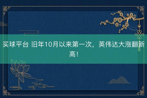 买球平台 旧年10月以来第一次，英伟达大涨翻新高！