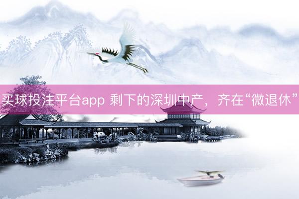 买球投注平台app 剩下的深圳中产，齐在“微退休”