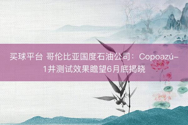 买球平台 哥伦比亚国度石油公司：Copoazú-1井测试效果瞻望6月底揭晓
