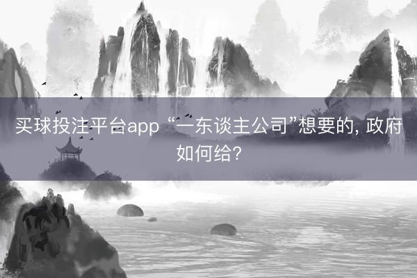 买球投注平台app “一东谈主公司”想要的， 政府如何给?