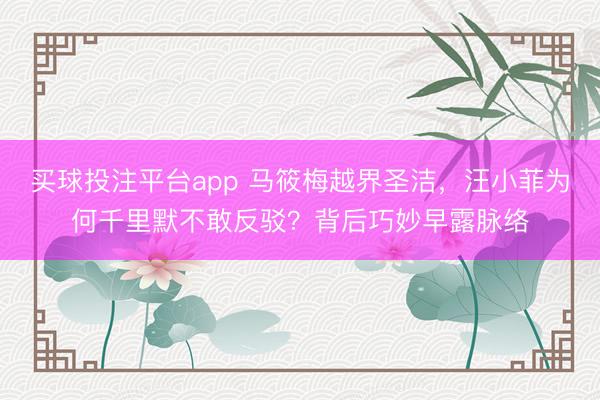 买球投注平台app 马筱梅越界圣洁，汪小菲为何千里默不敢反驳？背后巧妙早露脉络