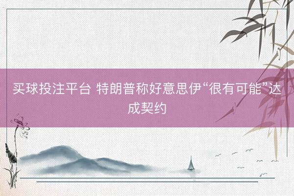 买球投注平台 特朗普称好意思伊“很有可能”达成契约