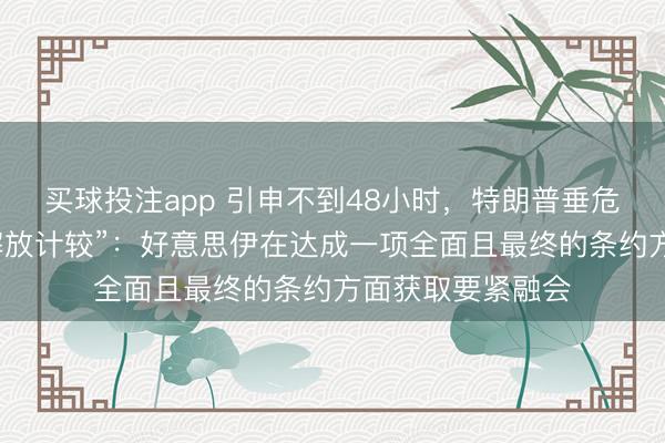 买球投注app 引申不到48小时，特朗普垂危喊停“霍尔木兹解放计较”：好意思伊在达成一项全面且最终的条约方面获取要紧融会