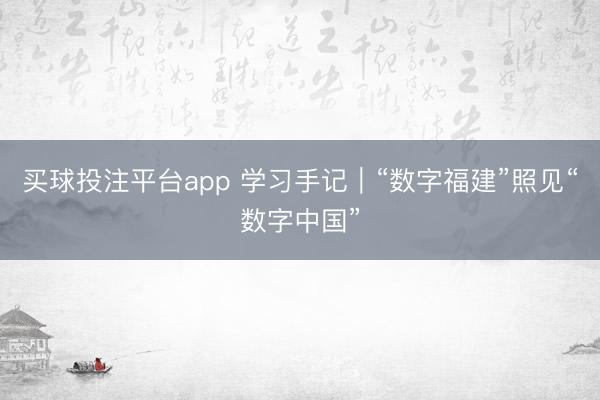 买球投注平台app 学习手记｜“数字福建”照见“数字中国”