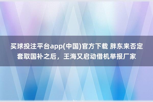 买球投注平台app(中国)官方下载 胖东来否定套取国补之后,王海又启动借机举报厂家