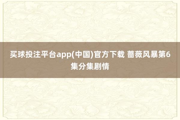 买球投注平台app(中国)官方下载 蔷薇风暴第6集分集剧情