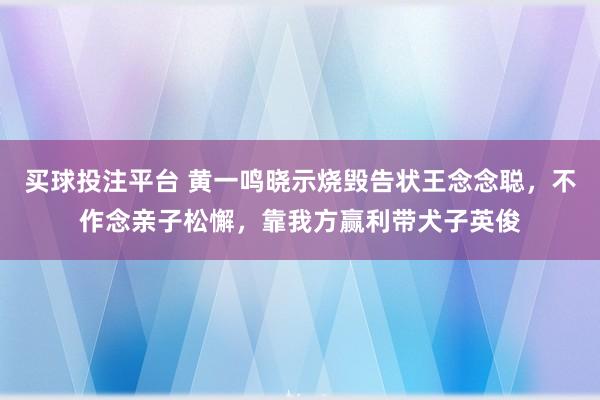 买球投注平台 黄一鸣晓示烧毁告状王念念聪,不作念亲子松懈,靠我方赢利带犬子英俊