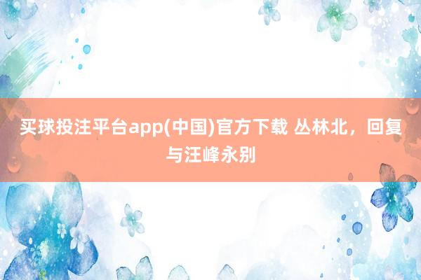 买球投注平台app(中国)官方下载 丛林北，回复与汪峰永别