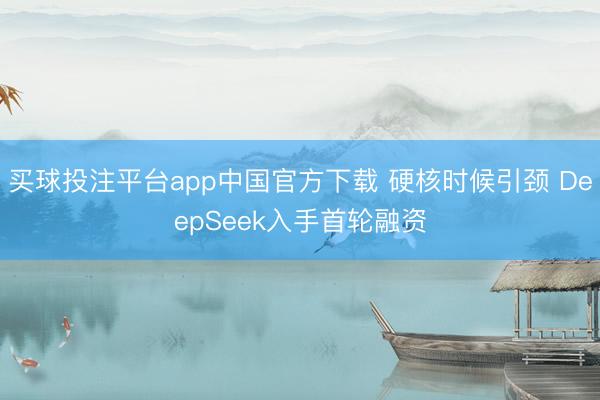 买球投注平台app中国官方下载 硬核时候引颈 DeepSeek入手首轮融资