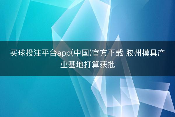 买球投注平台app(中国)官方下载 胶州模具产业基地打算获批