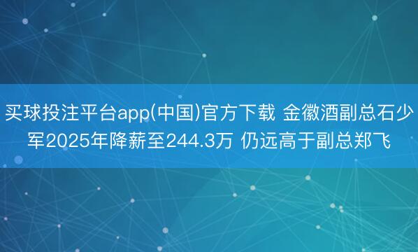 买球投注平台app(中国)官方下载 金徽酒副总石少军2025年降薪至244.3万 仍远高于副总郑飞