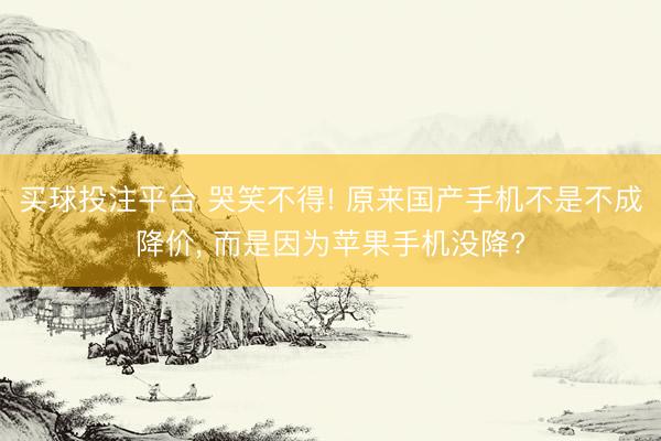 买球投注平台 哭笑不得! 原来国产手机不是不成降价, 而是因为苹果手机没降?