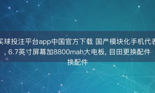 买球投注平台app中国官方下载 国产模块化手机代表, 6.7英寸屏幕加8800mah大电板, 目田更换配件